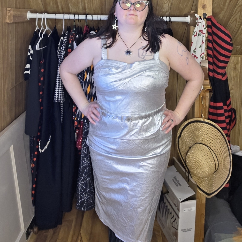 Silver Wiggle Dress Micheline Pitt